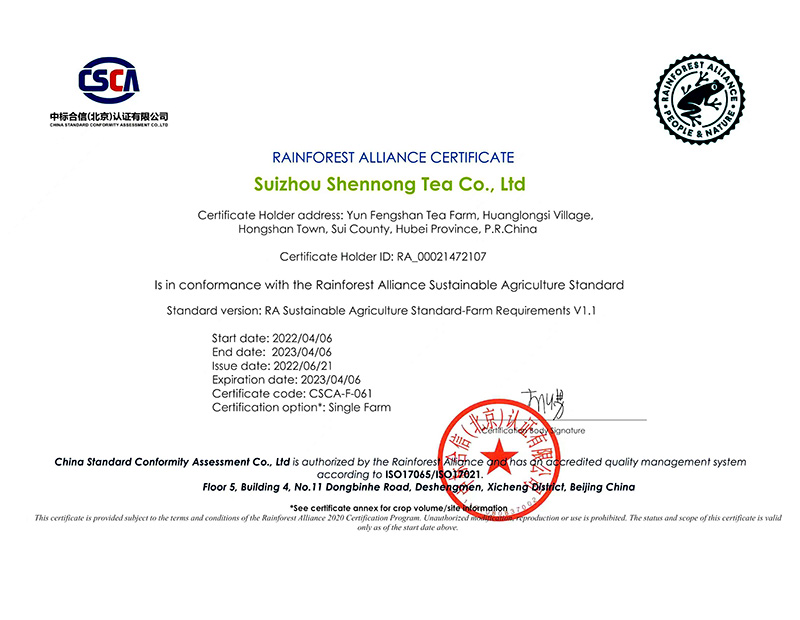 雨林.jpg 雨林.jpg